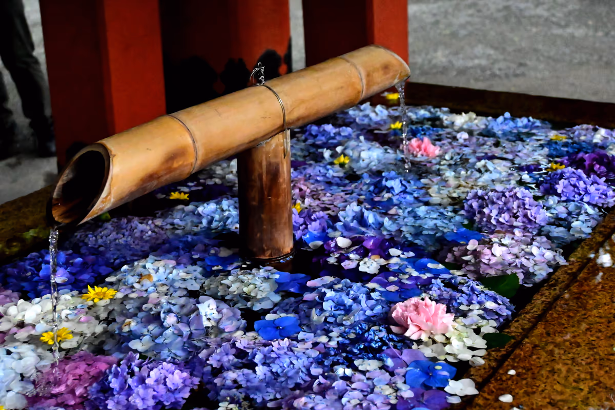 投稿写真：花手水