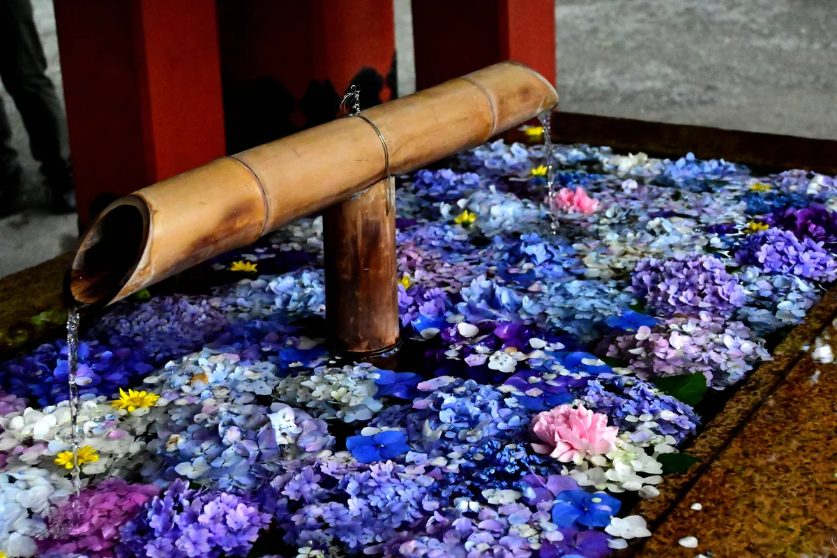 投稿写真：花手水