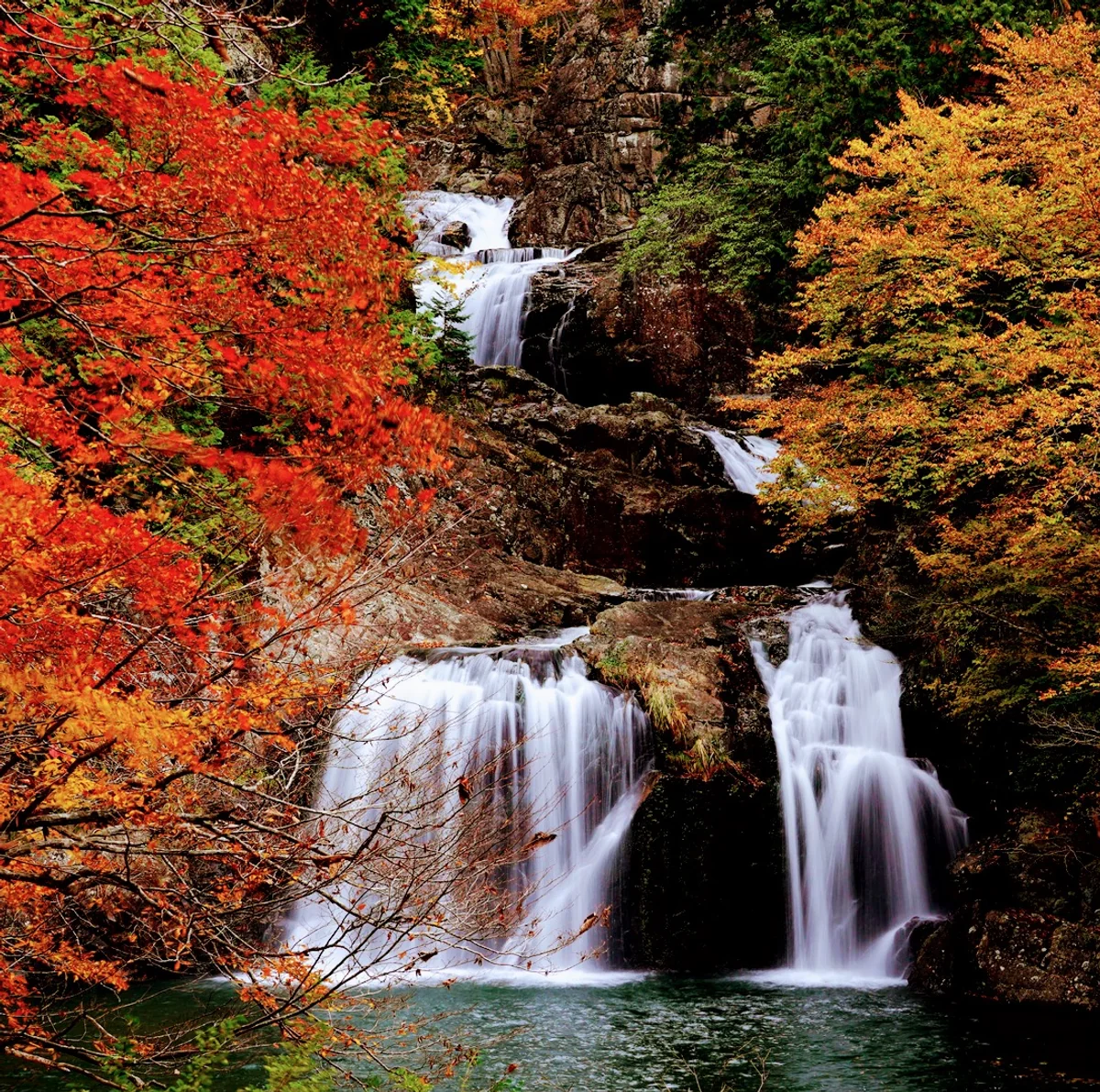 投稿写真：三ツ滝