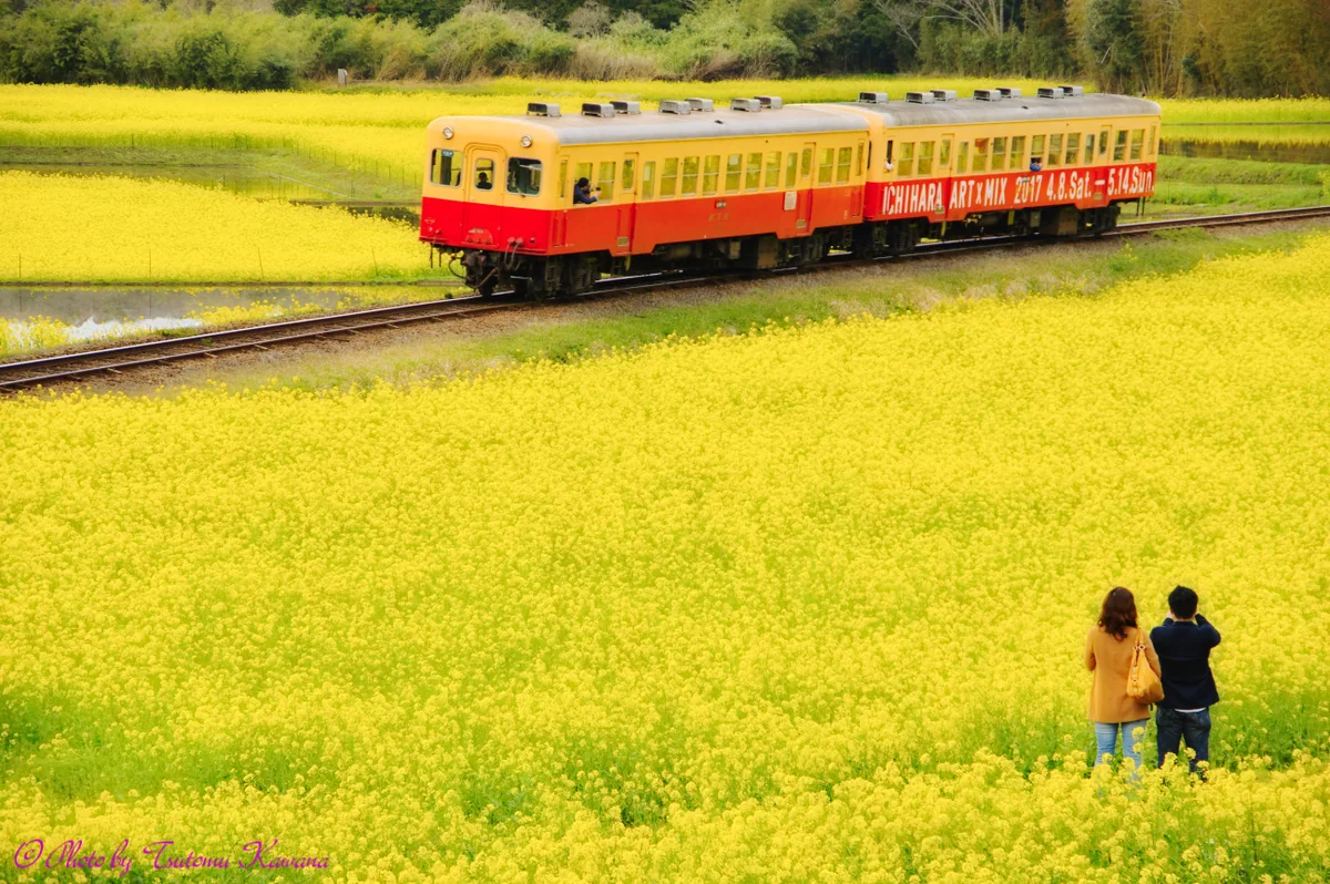 川名 勉さんの投稿写真