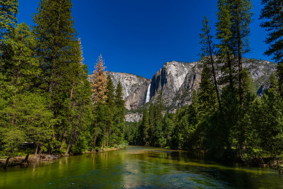 投稿写真：Yosemite