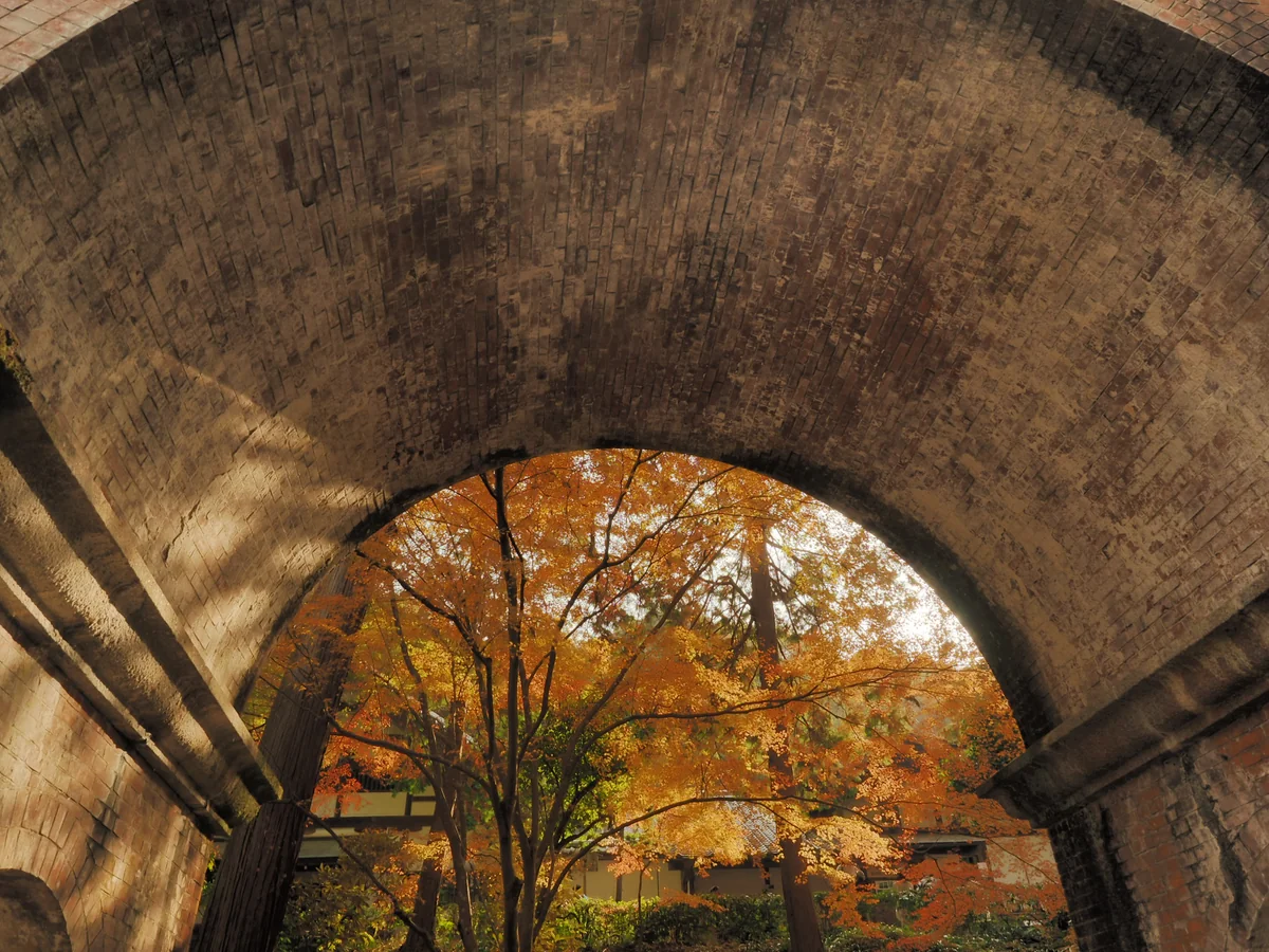 投稿写真：水路閣紅葉