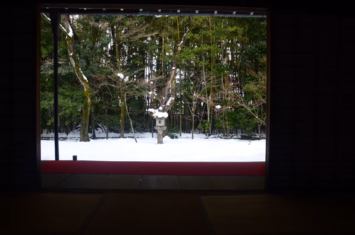 投稿写真：高桐院　雪の庭