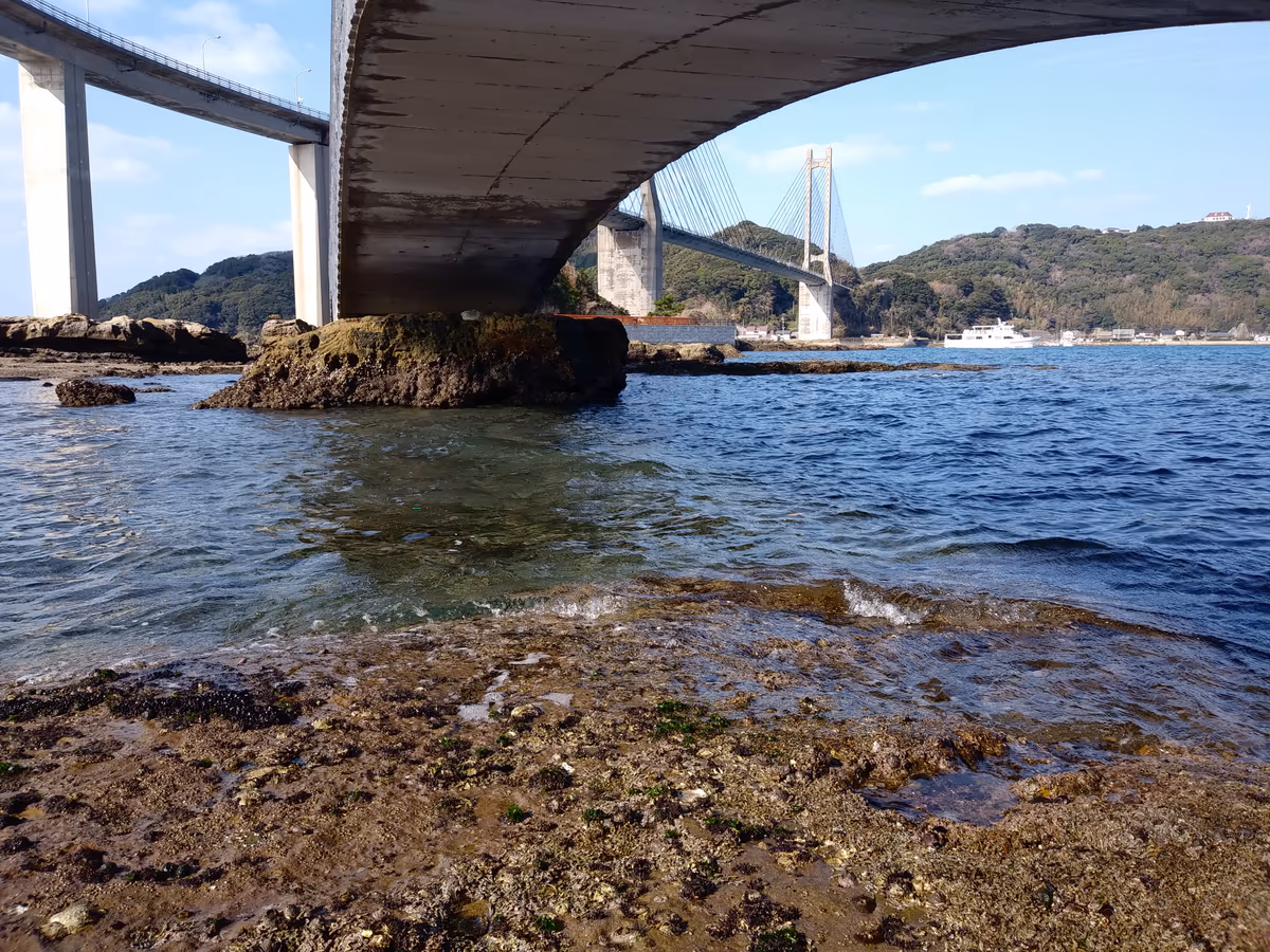 投稿写真：弁天島遊歩道の下から呼子大橋を望む