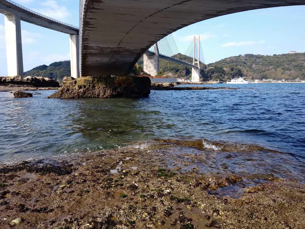 投稿写真：弁天島遊歩道の下から呼子大橋を望む