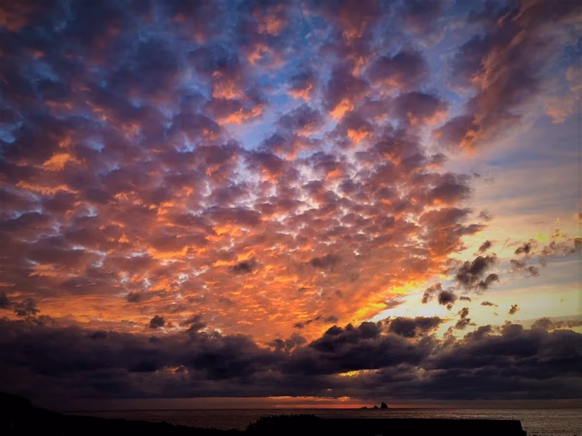 投稿写真：うろこ雲？ひつじ雲？