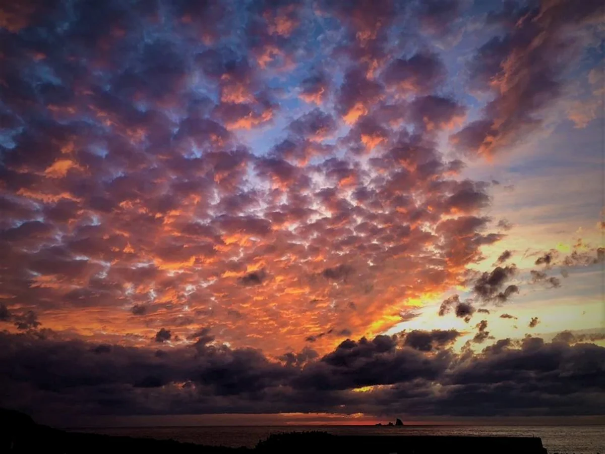 投稿写真：うろこ雲？ひつじ雲？