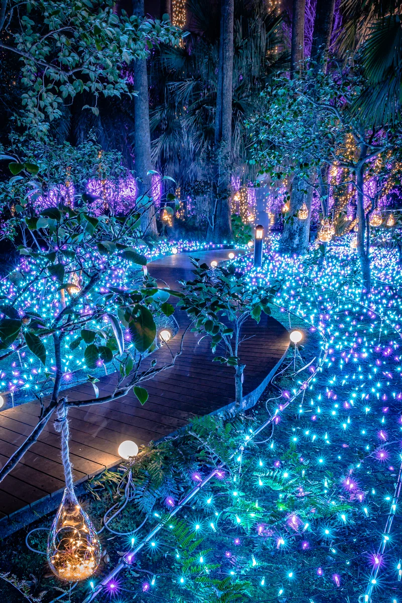 投稿写真：江の島サムエル・コッキング園