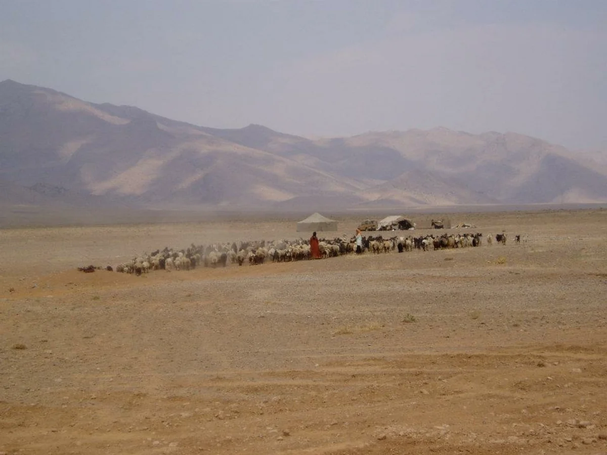 投稿写真：イラン 遊牧民カシュガイ族