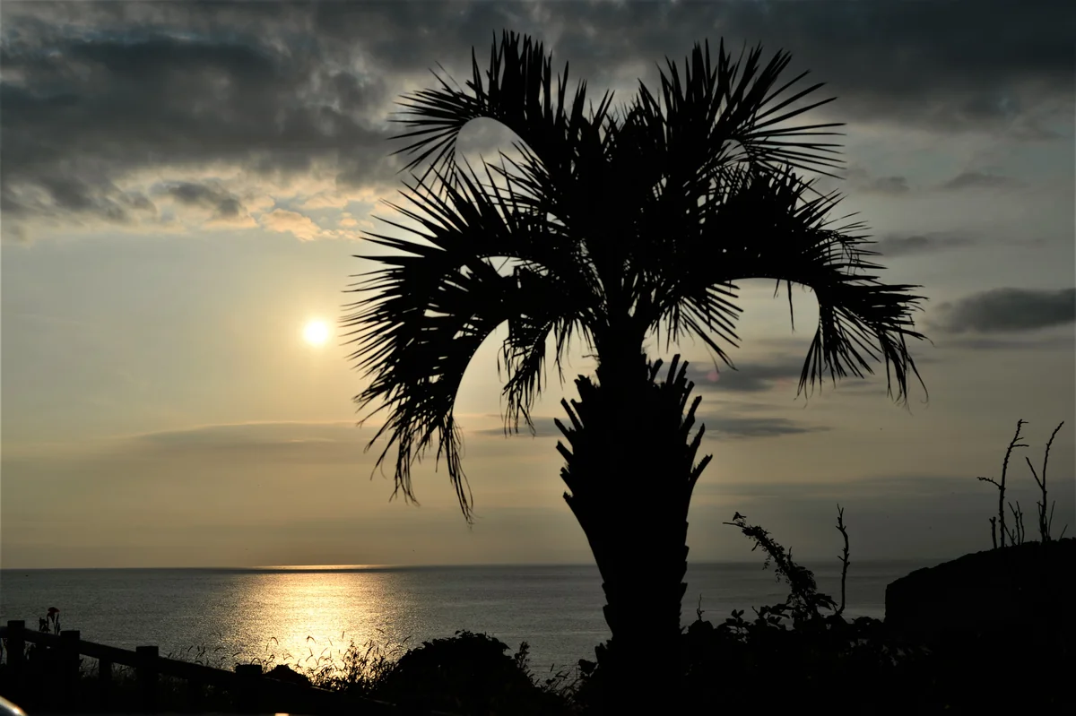 投稿写真：奥石廊崎サンセット