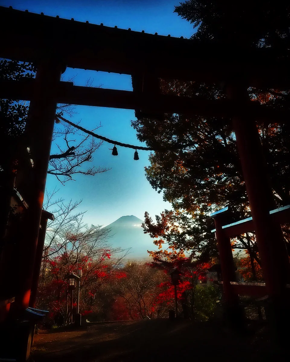 投稿写真：富士山と紅葉と鳥居