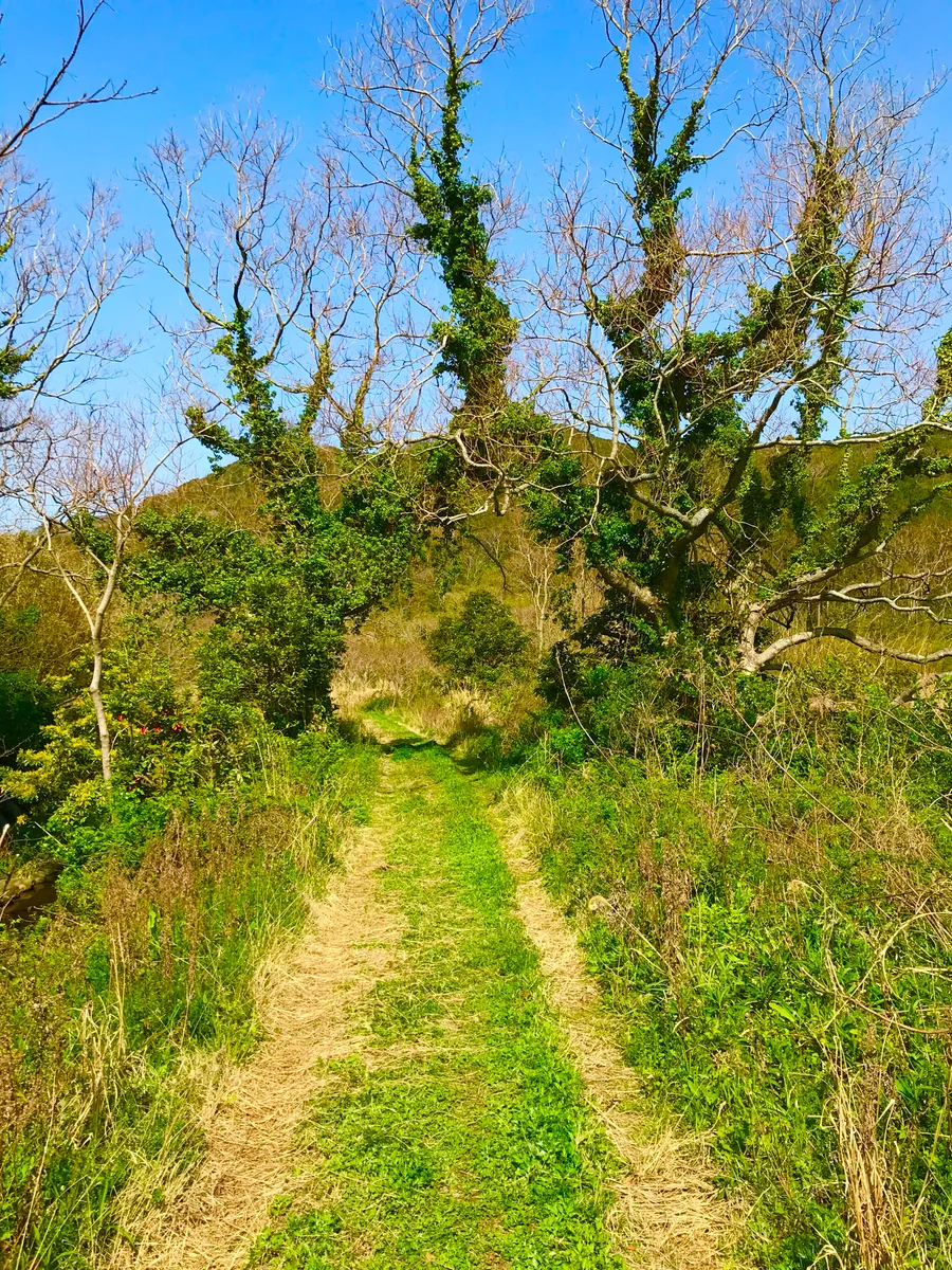 投稿写真：新たな世界への入り口
