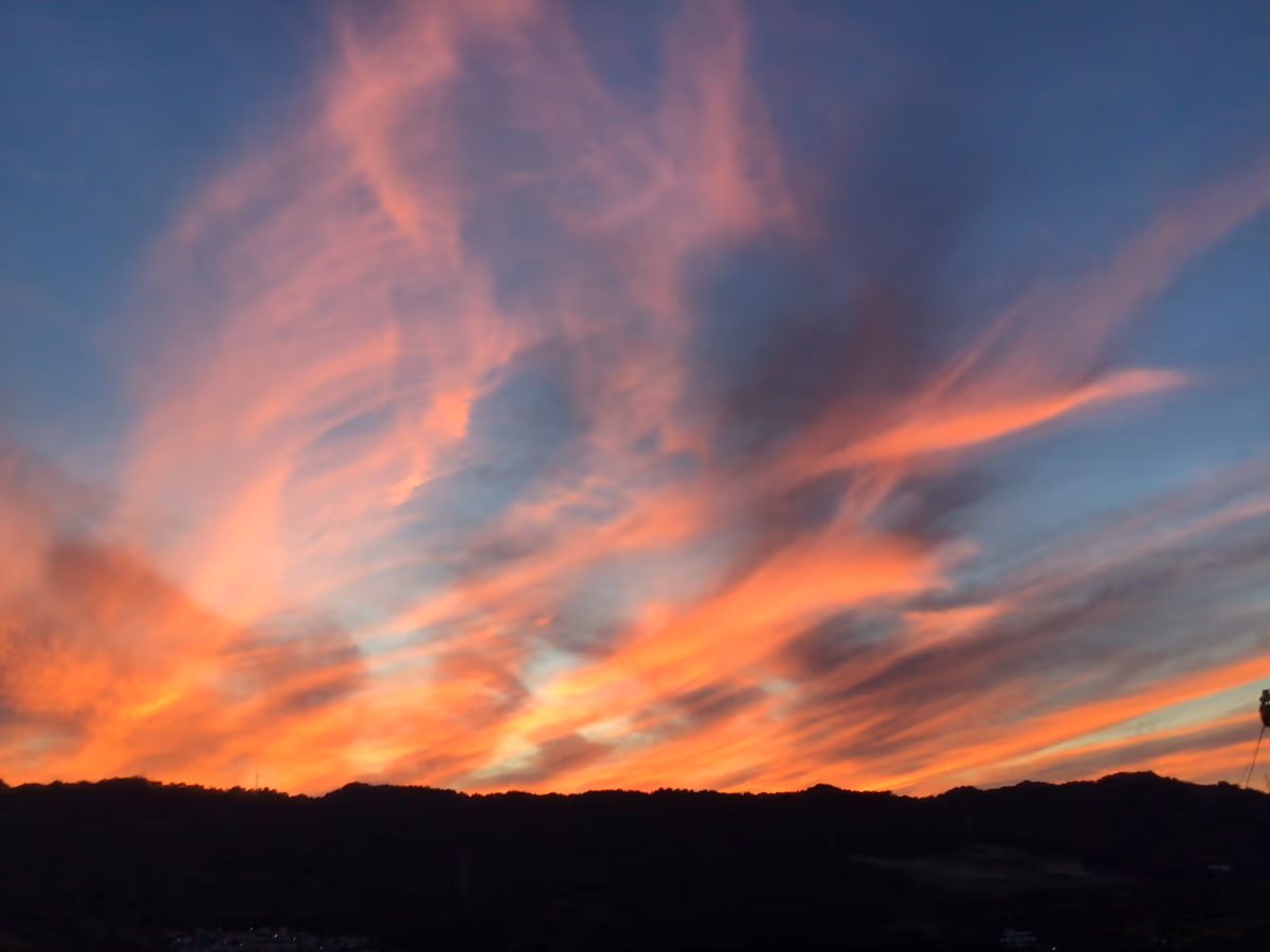 投稿写真：夕陽　朱雀
