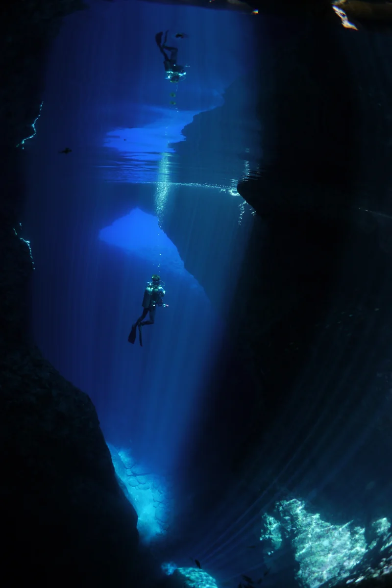 投稿写真：もう一人の自分に会ってきた。