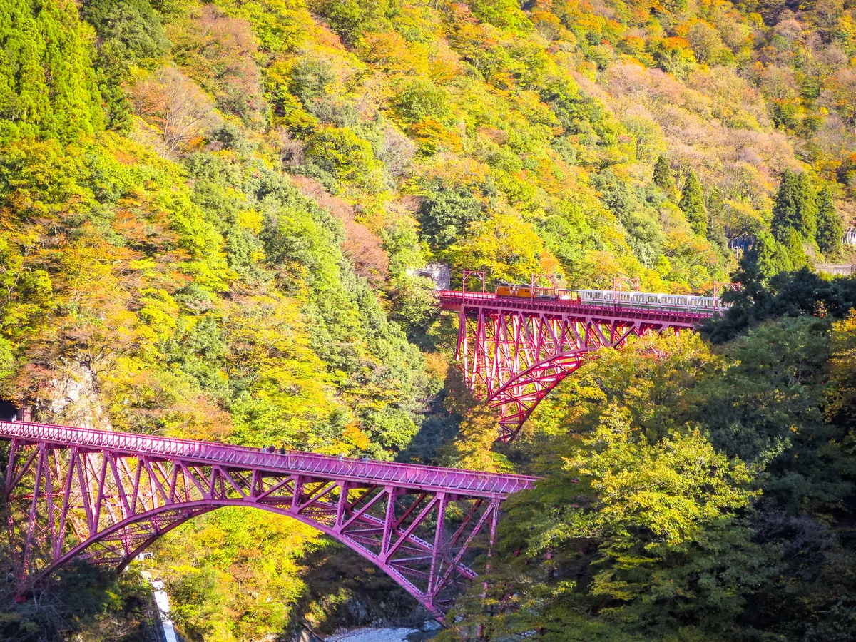 投稿写真：錦繍の黒部峡谷を渡るトロッコ列車