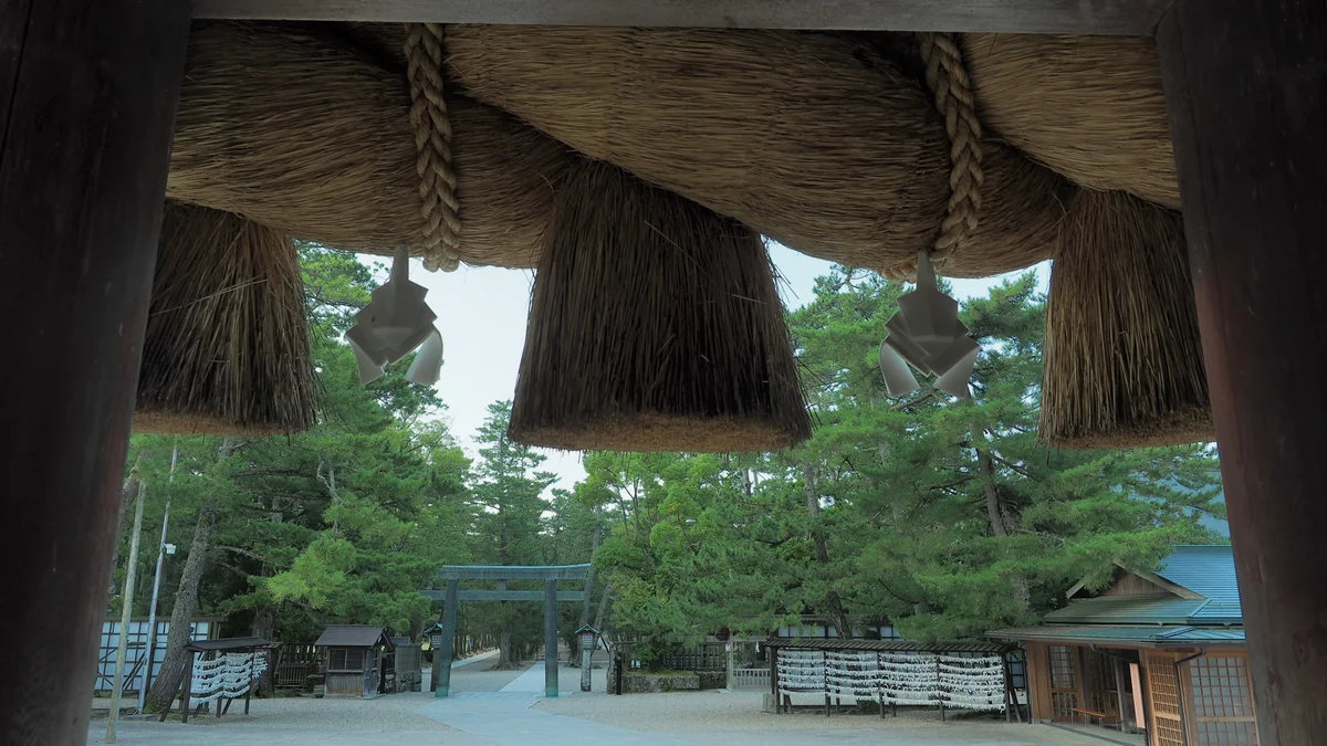 投稿写真：出雲大社　注連縄