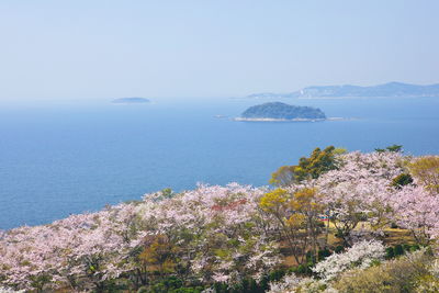 | 絶景事典