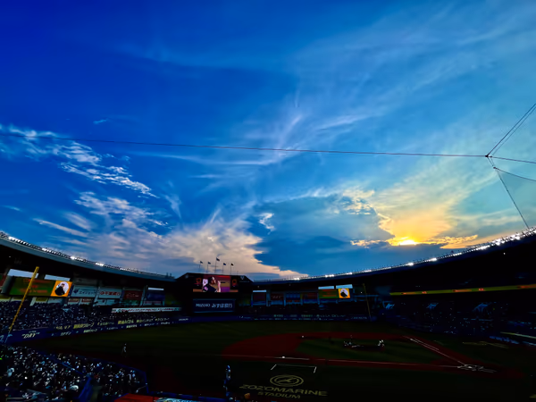 投稿：熱闘プロ野球