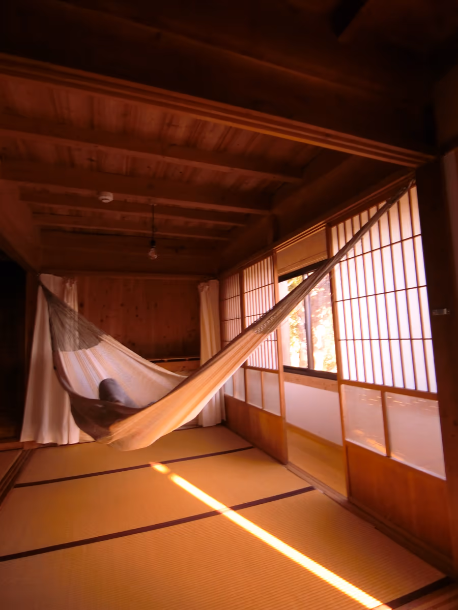 投稿写真：午後の日差し