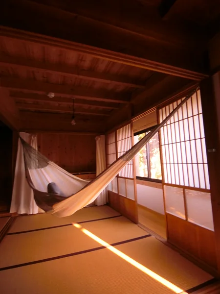 投稿：午後の日差し