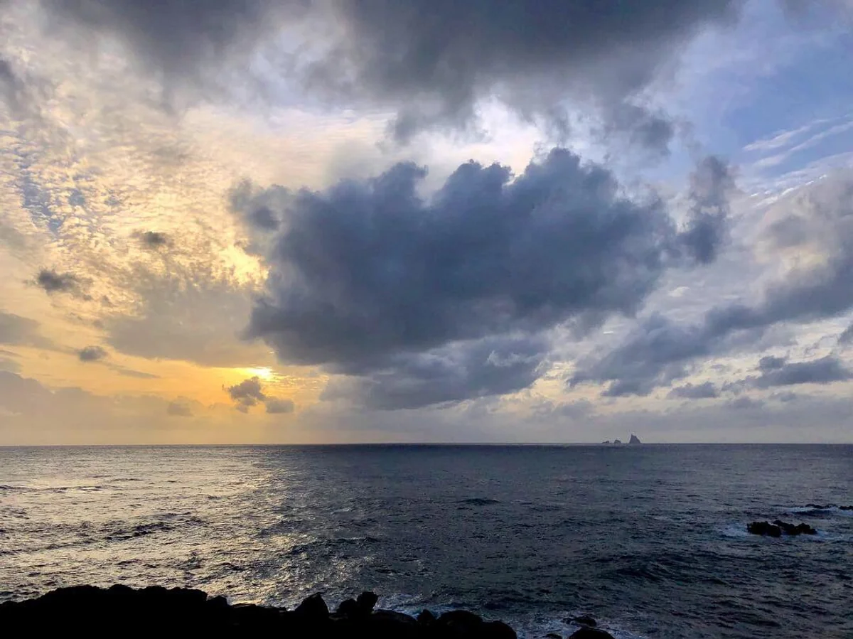 投稿写真：師走の暑い日