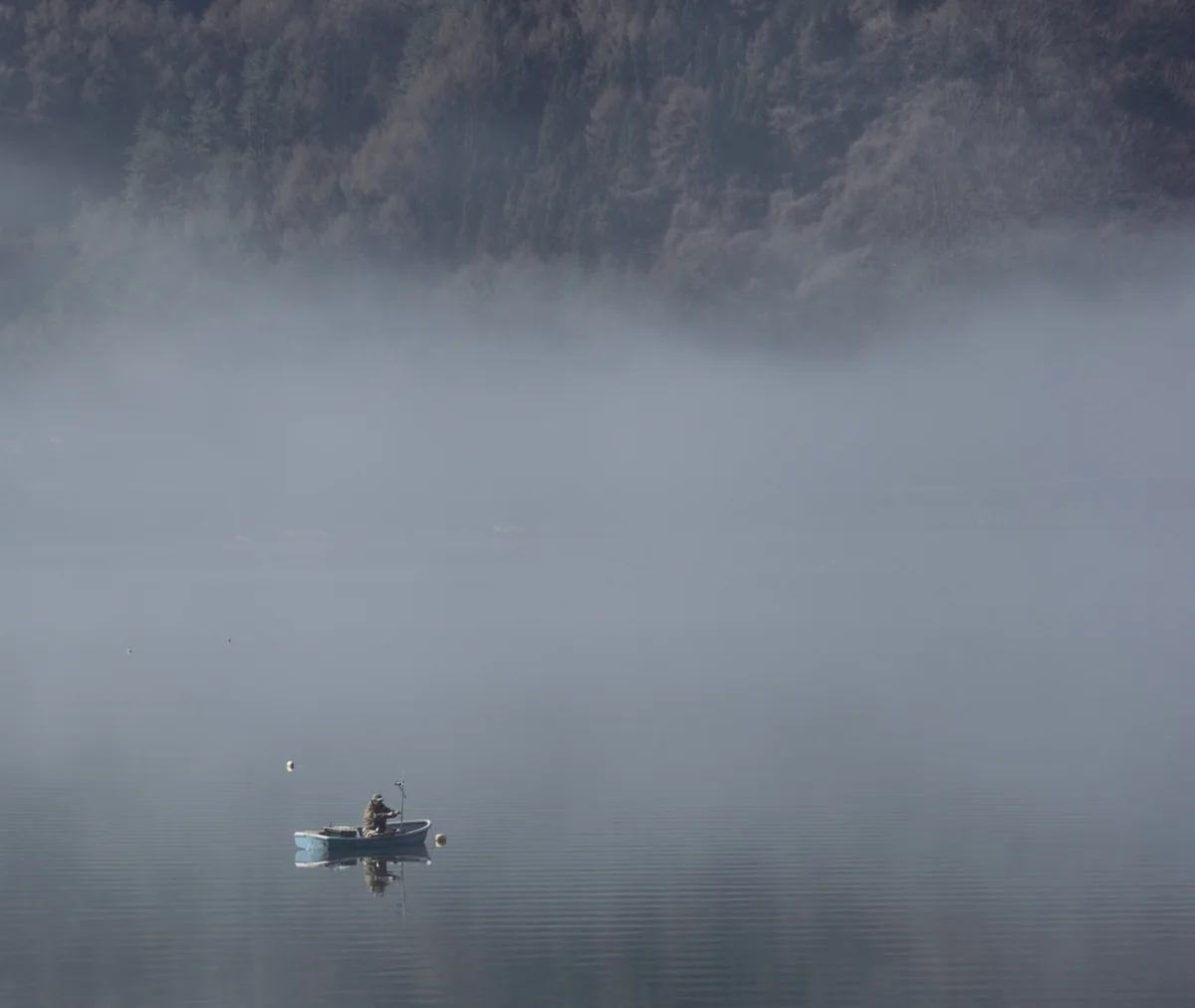 投稿写真：朝靄の西湖