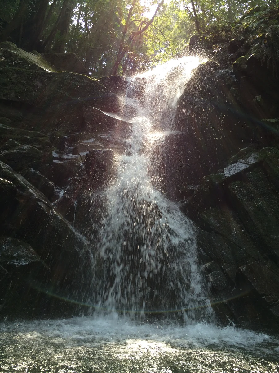 投稿写真：鶯滝