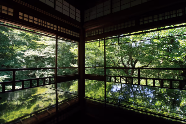 投稿：青もみじ