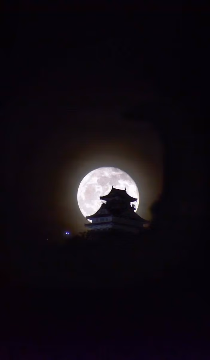 投稿写真：月城