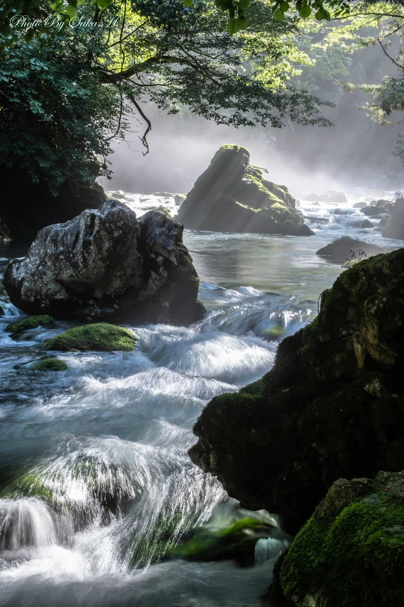 投稿写真：光降り注ぐ