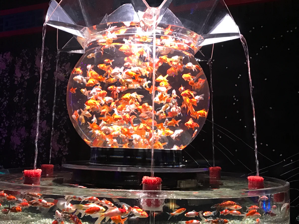 投稿写真：赤の競演