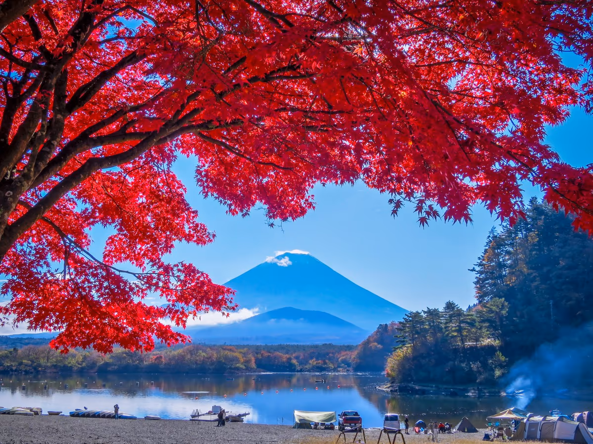 投稿写真：真っ赤な紅葉と富士山