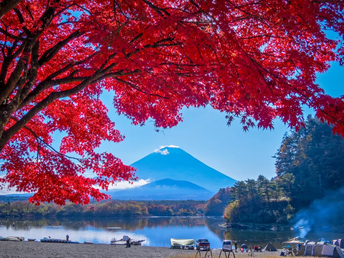 投稿写真：真っ赤な紅葉と富士山