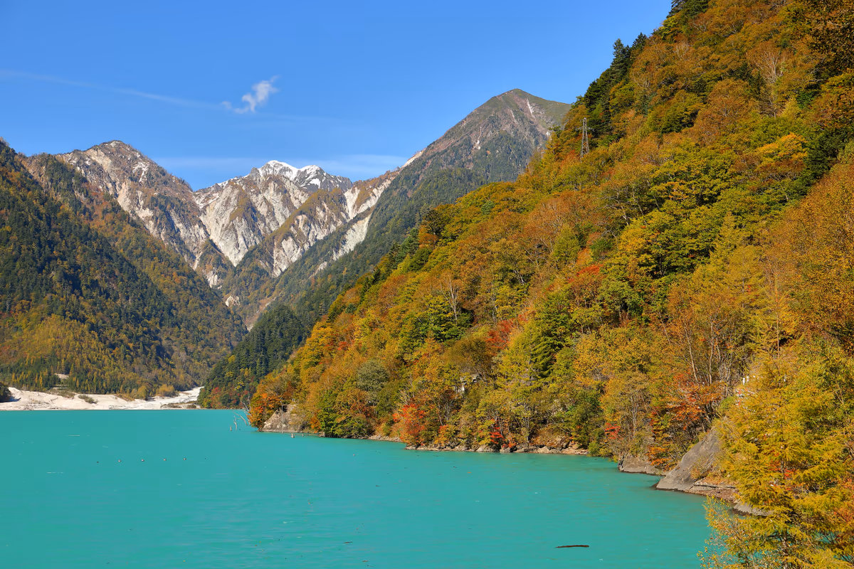 投稿写真：エメラルドグリーンの高瀬ダム湖　紅葉と雪山