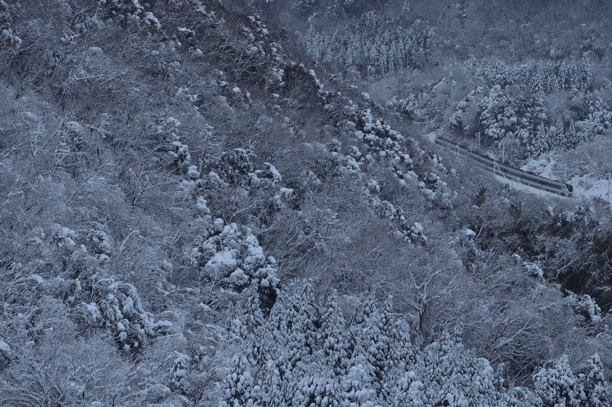 投稿写真：水墨画