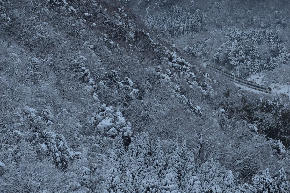 投稿写真：水墨画