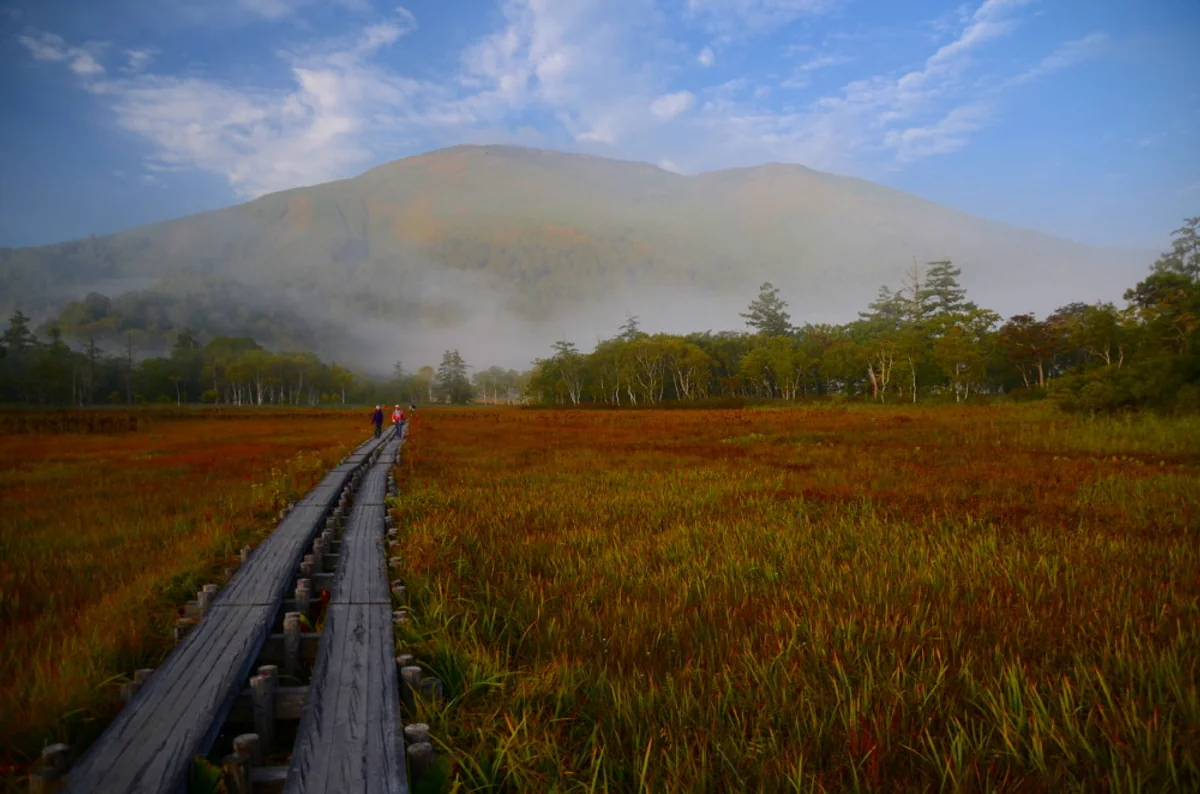 投稿写真：尾瀬霧の至仏山