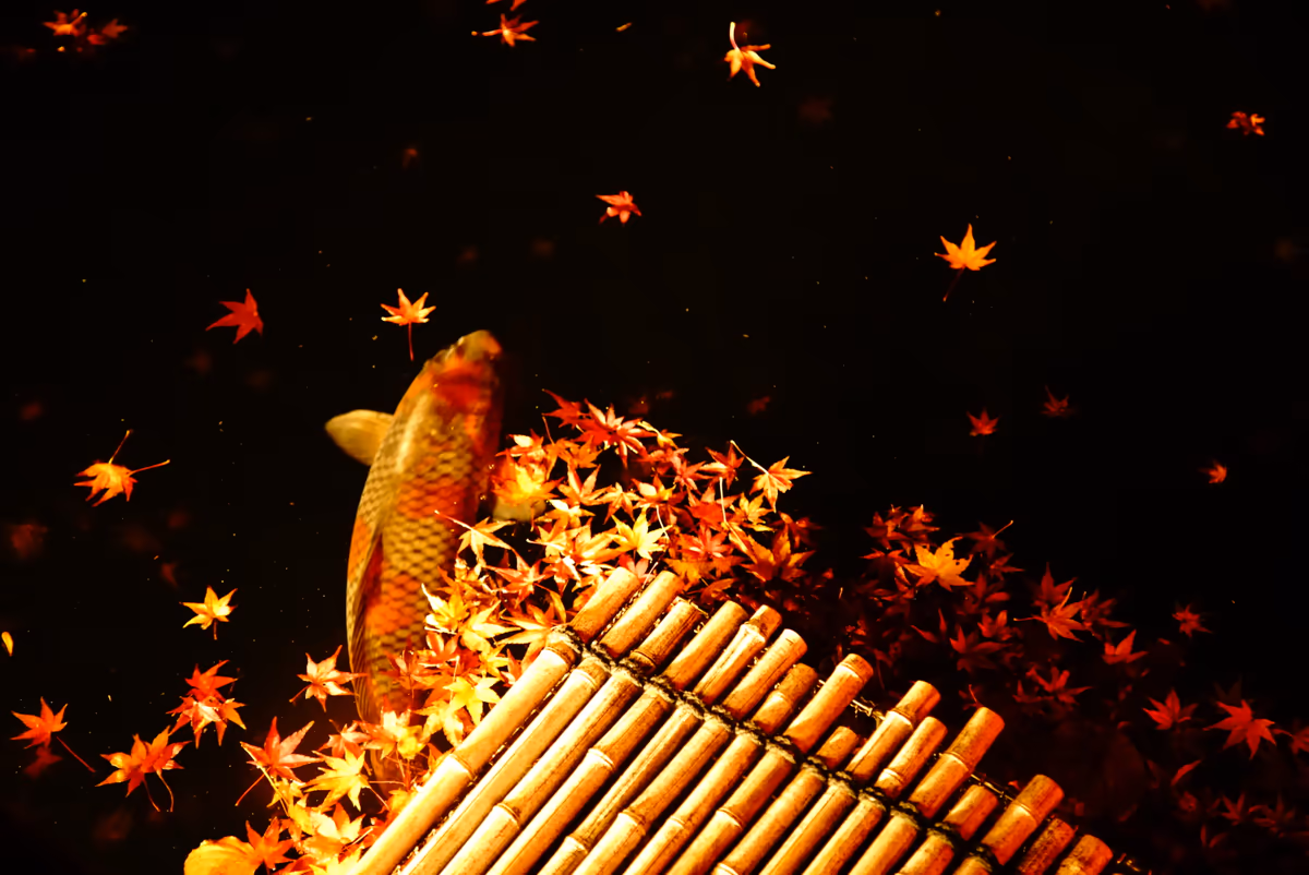 投稿写真：紅葉
