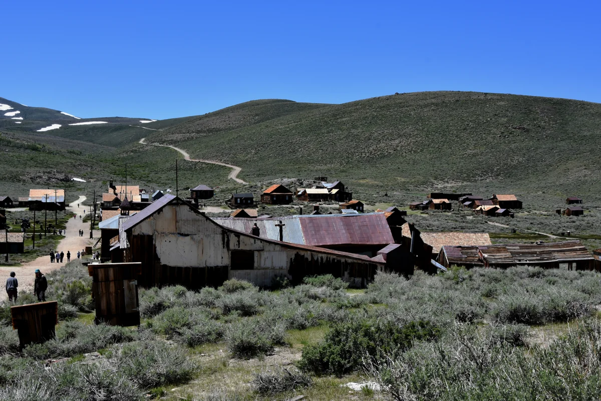 投稿写真：California Bodie