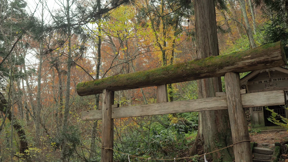 投稿写真：戸隠神社　森の鳥居と祠