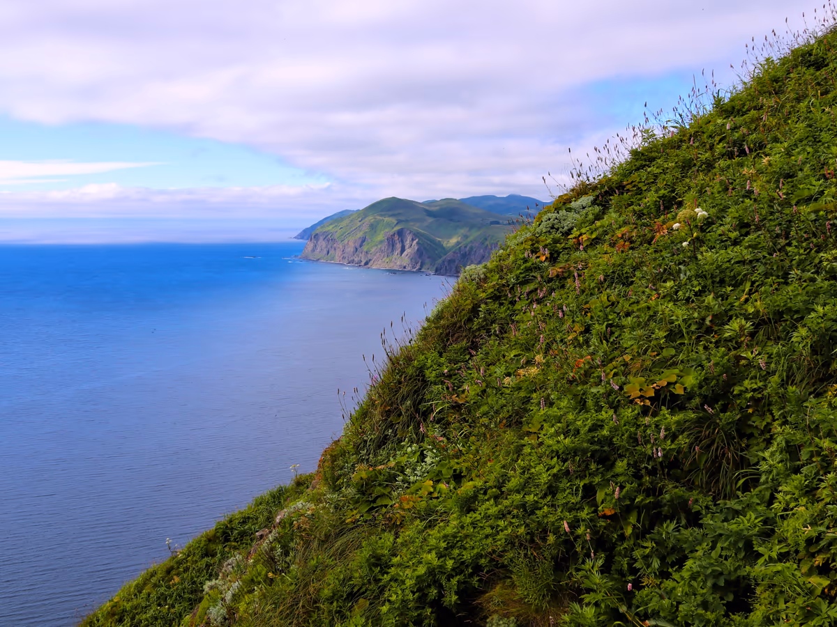 投稿写真：花の浮島