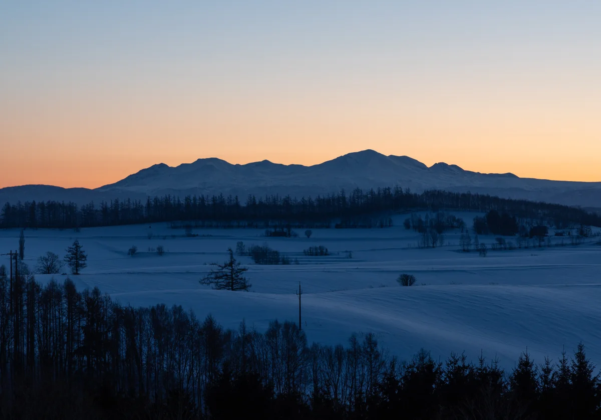 投稿写真：トワイライト