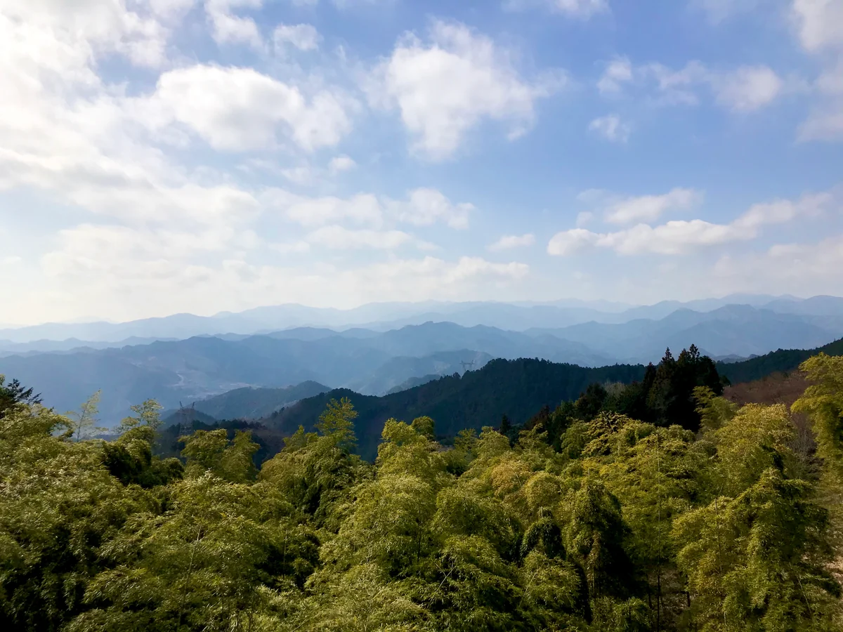 投稿写真：越上山周辺の風景