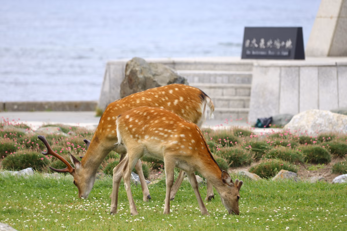 投稿写真：日本最北端の地