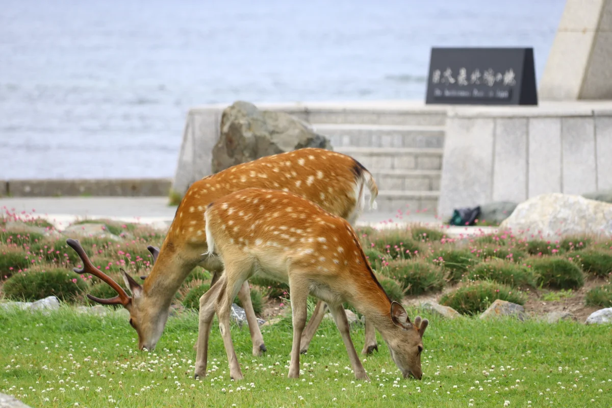 投稿写真：日本最北端の地