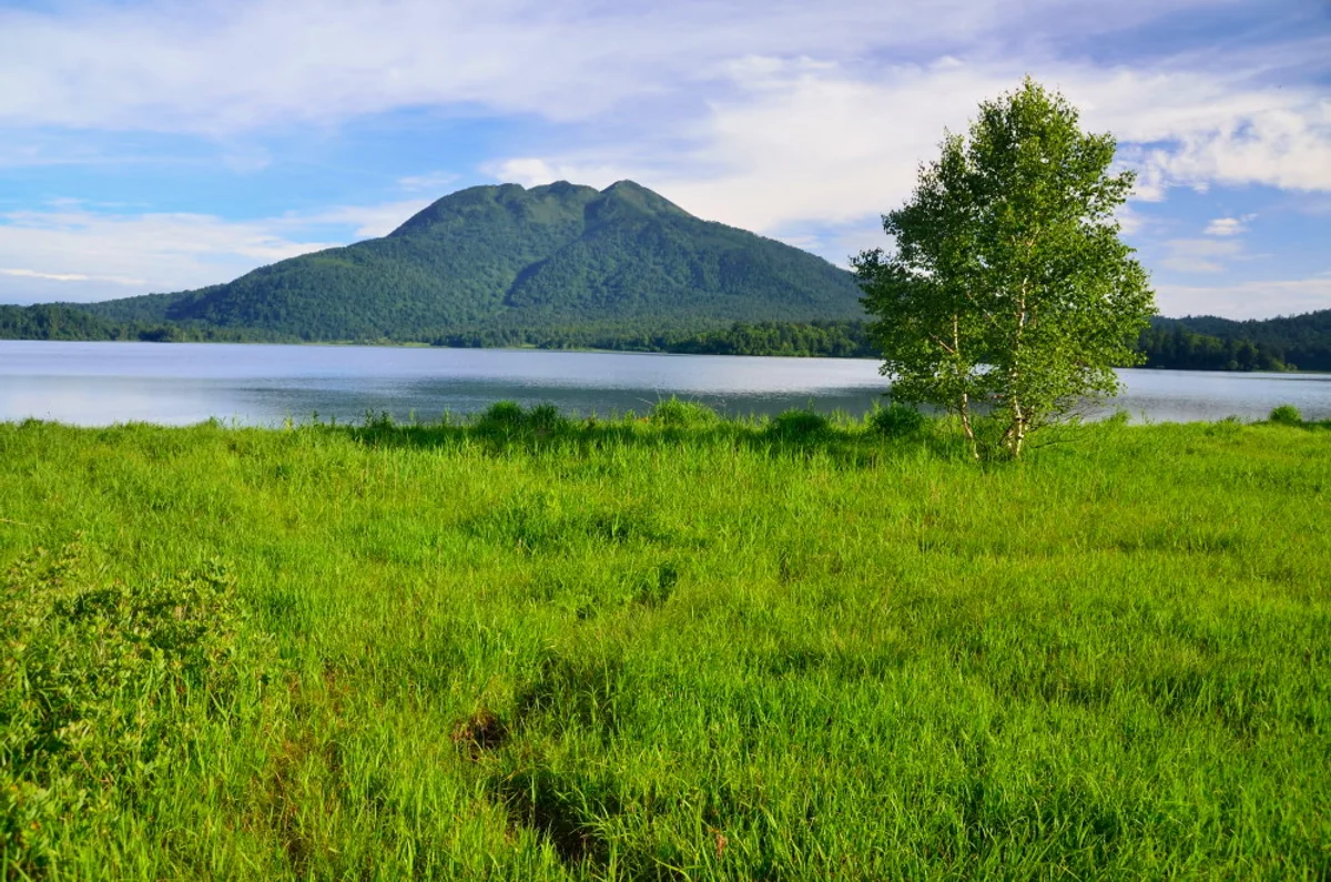 鬼瓦　鉄五郎さんの投稿写真