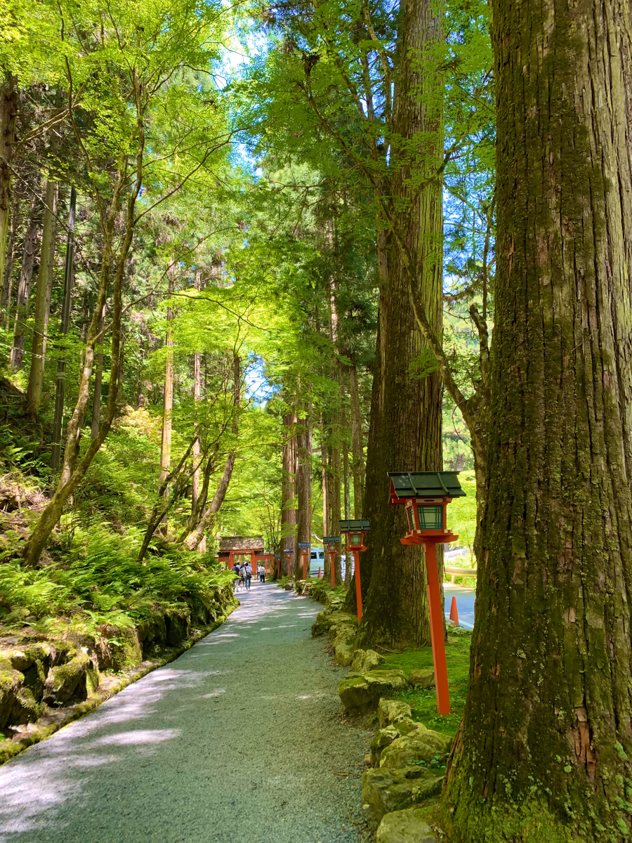 投稿写真：貴船神社　奥宮への道