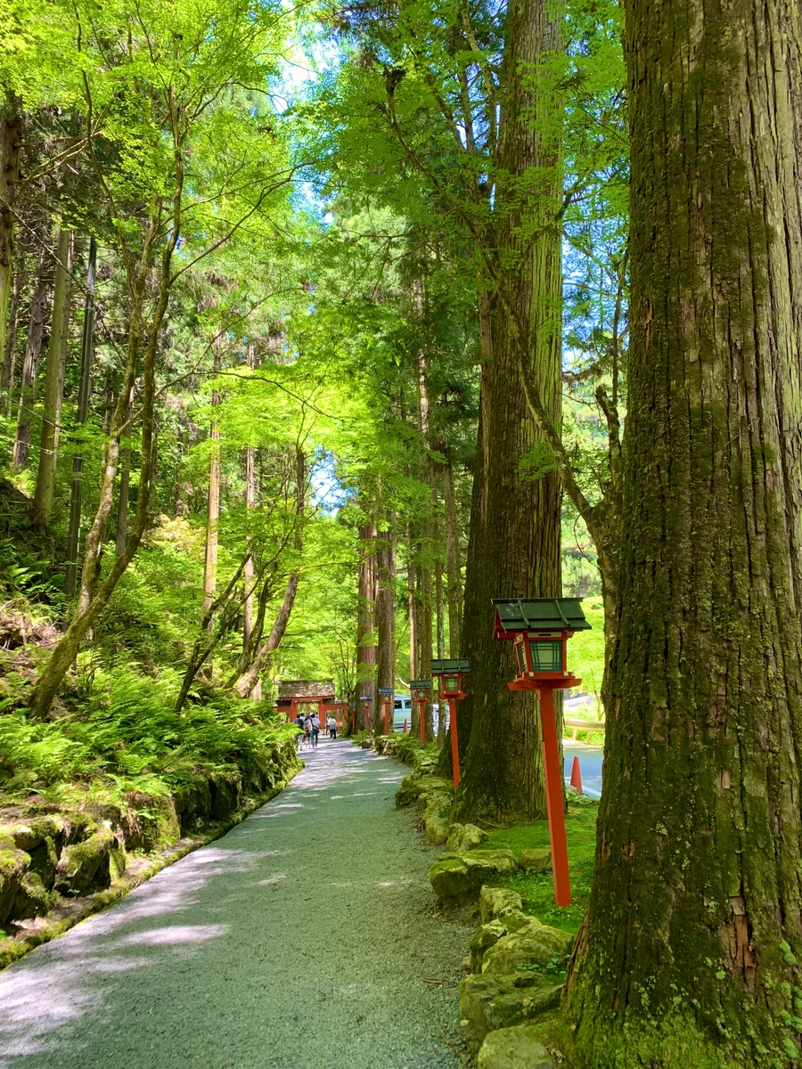 投稿写真：貴船神社　奥宮への道