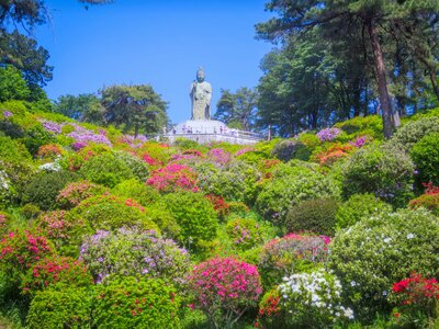 | 絶景事典