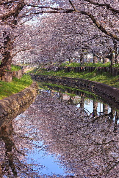  | 絶景事典